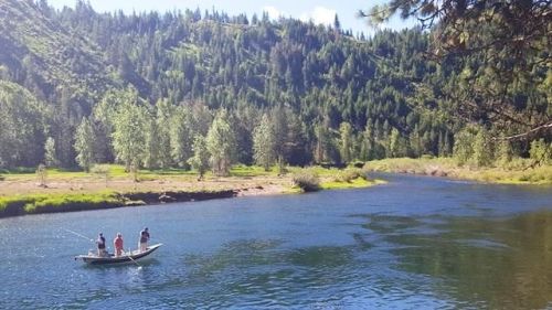 11625 Wall Ridge Rd, Rose Lake, ID 83810