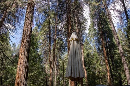 24871 Ridgecrest Dr, Pioneer CA  95666-9492 exterior