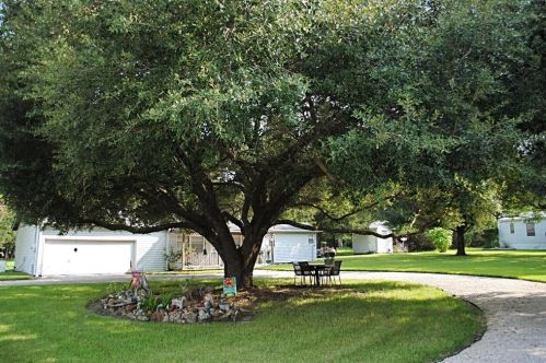 285 Apollo St, Chita, TX 75862-6521