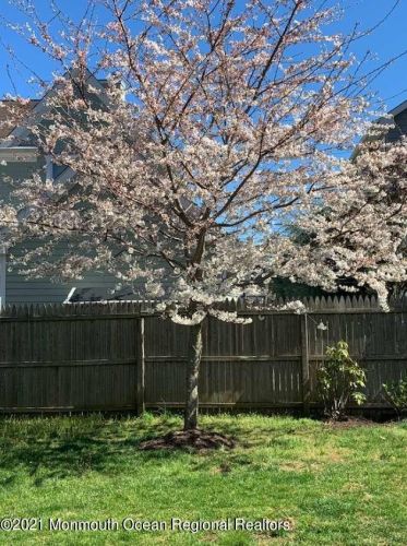 21 Ward Ln, Locust NJ 07760-1730 exterior