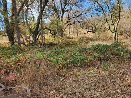 19178 Indian Springs Rd, Lake Wildwood CA  95946-9330 exterior