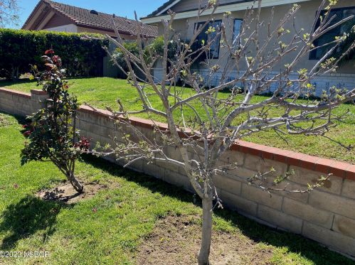 615 Tiffany Dr, Santa Maria, CA 93454-3200