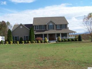 1044 Horizon Dr, White Pine, TN 37890-4839