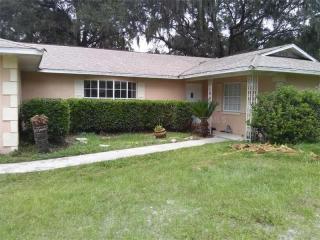 3045 157th Lane Rd, Summerfield, FL 34491-5040