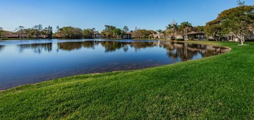 3966 Mermoor Dr, Palm Harbor, FL 34685-1134
