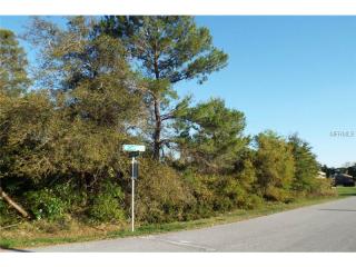 3021 Cat Tail Ln, De Bary, FL 32713-2777