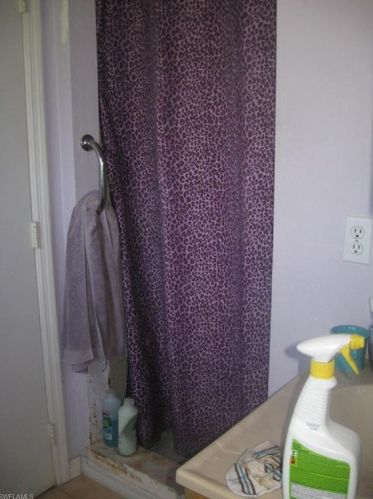 517 Plumosa Ave, Lehigh Acres FL 33972-7910 exterior