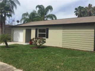 1009 Bridlewood Way, Brandon FL  33511-6250 exterior