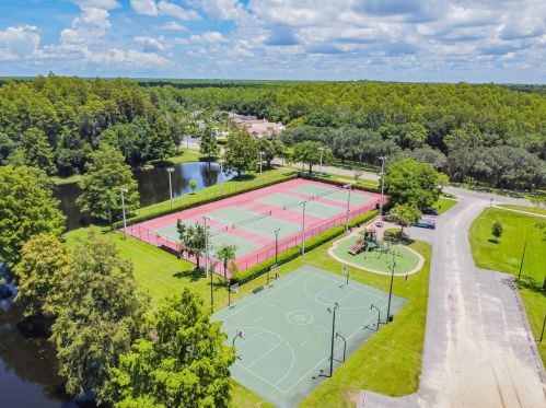 3664 Darston St, Palm Harbor FL  34685-1182 exterior