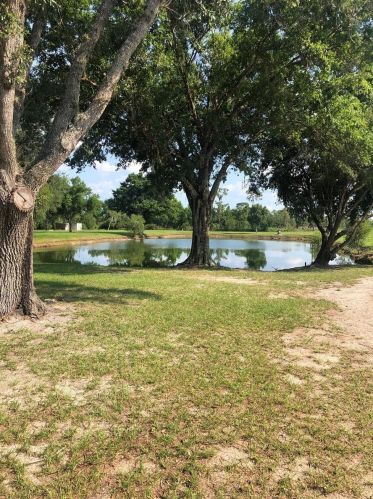 664 Campbell Rd, Bartow, FL 33841-9521
