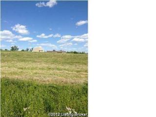 5 Red Hawk Dr, Guston, KY 40142-7143