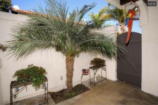 282 Chinquapin Ave, Carlsbad CA  92008-7443 exterior