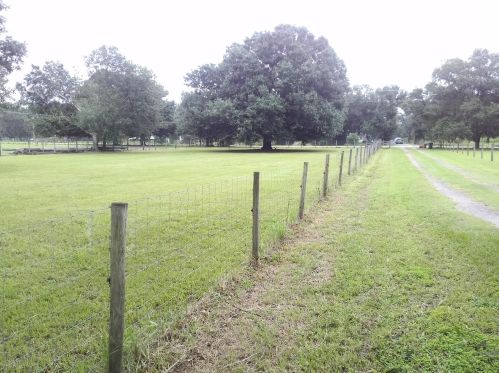 2721 Eucalyptus Ave, Arcadia FL  34266-5494 exterior