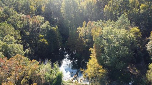 710 Martintown Rd, North Augusta SC 29860-0099 exterior