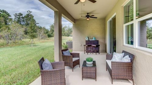 11892 Frost Aster Dr, Riverview FL 33579 exterior