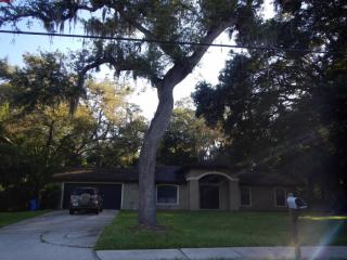 2206 Vandervort Rd, Lutz, FL 33549-5754