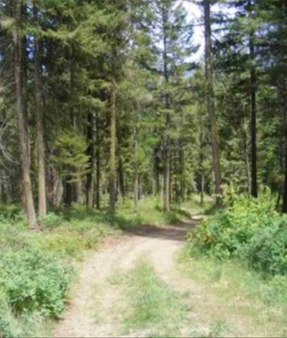 703 Williams Lake Rd, Colville, WA 99114-8616
