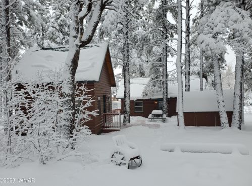 123 Sky Hi Dr, Pinetop AZ  85935-8802 exterior