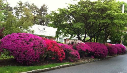 58 Sulgrave Rd, Scarsdale, NY 10583-4711