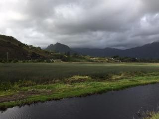 725 Kihapai Pl, Kailua HI  96734-2694 exterior