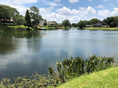 1055 Rolling Woods Ln, Lakeland, FL 33813-1252