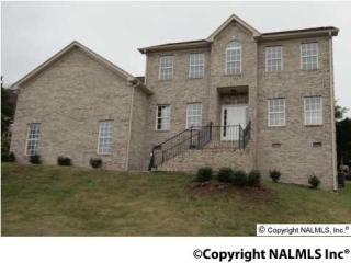 431 Barrington Hills Dr, Madison AL  35758-7542 exterior
