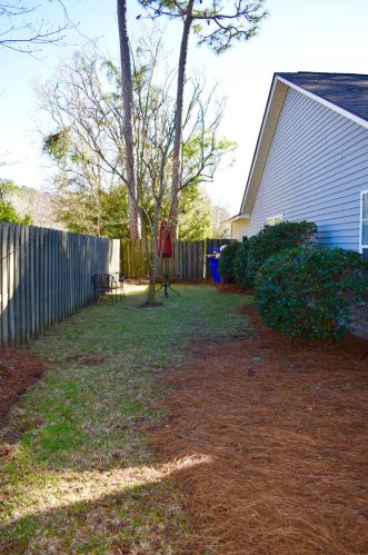 1366 Point Dr, Mount Pleasant SC  29466-9481 exterior