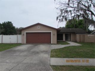2325 Southern Lites Ave, Lutz, FL 33549-5869