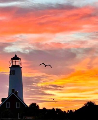 1804 Gulf Bch Dr, Saint George Island FL  32328-2827 exterior