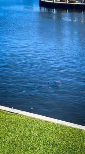 555 6th Ave, Delray Beach FL  33483-5252 exterior