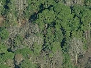 21279 Fort Christmas Rd, Xmas, FL 32709-9450