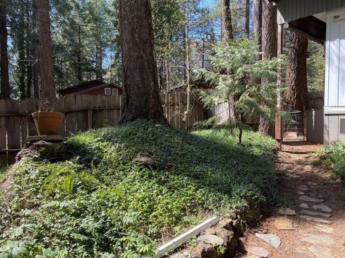 6592 Imperial Way, Nimshew CA  95954-9367 exterior