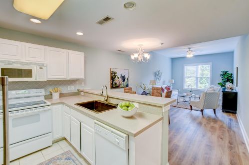 7322 Indigo Palms Way, Johns Island SC  29455-4127 exterior