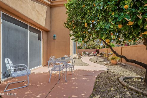 11895 Del Timbre Dr, Scottsdale AZ 85259-6301 exterior