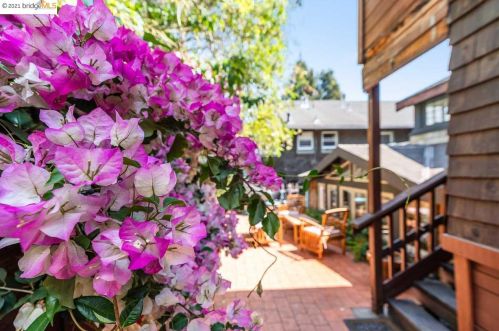 66 Panoramic Way, Berkeley CA 94704-2540 exterior