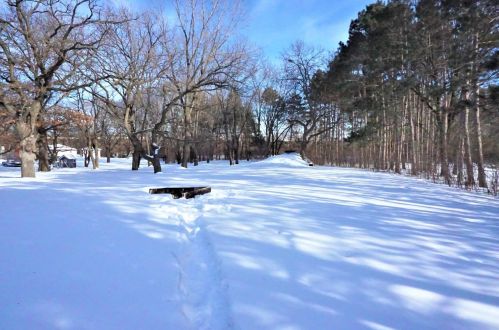 9625 Flintwood St, Minneapolis MN 55448-2439 exterior