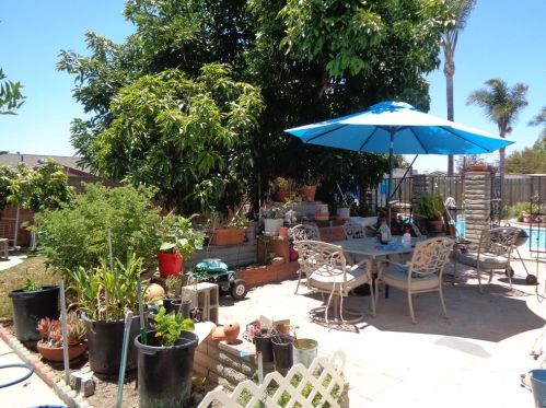 4435 Roosevelt St, Chino CA  91710-3225 exterior