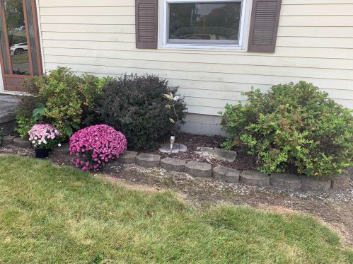 1381 Plantation Dr, Marion, OH 43302-7024