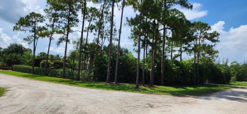 16970 Burns Dr, Town Of Loxahatchee Groves, FL 33470-4170