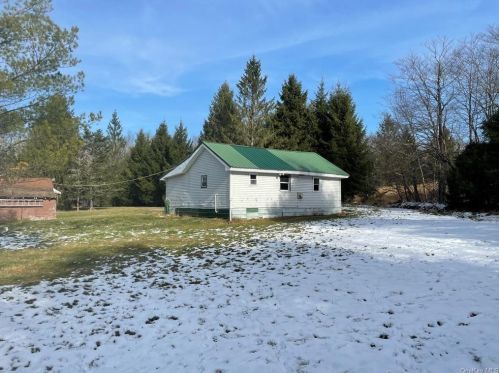 118 Old Hunter Rd, Lew Beach, NY 12758-5719