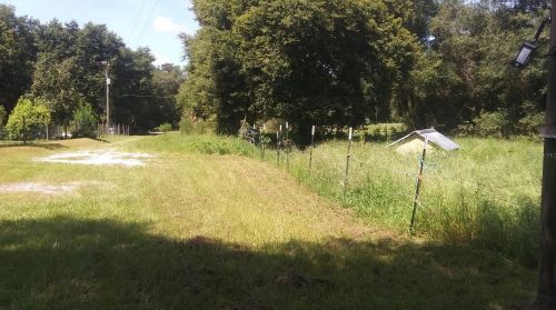 4818 166th Ter, Ocklawaha FL  32179-2890 exterior