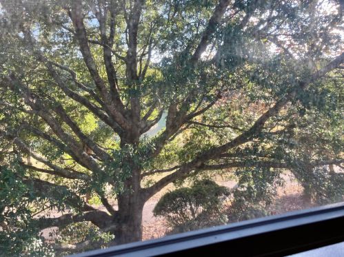 2001 Hopeman Ln, Mount Pleasant SC  29466-9280 exterior