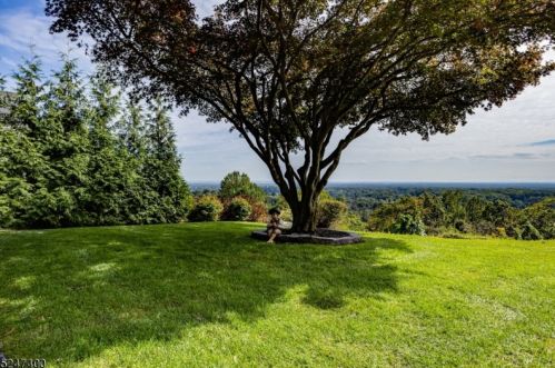 1597 Deer Path, Mountainside, NJ 07092-1320