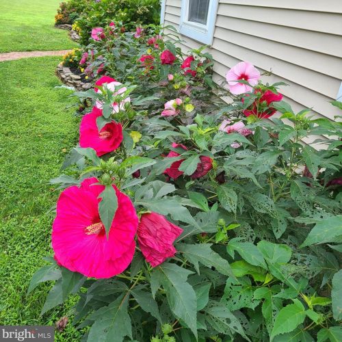 1139 Wilson Ave, Glen Mills PA  19342-9610 exterior