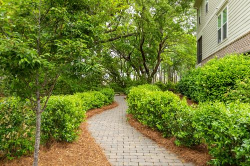 208 Slipper Shell Ct, Mount Pleasant SC  29464-6724 exterior