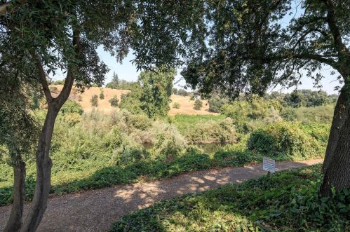 900 Old Stockton Rd, Valley Home CA 95361-2668 exterior