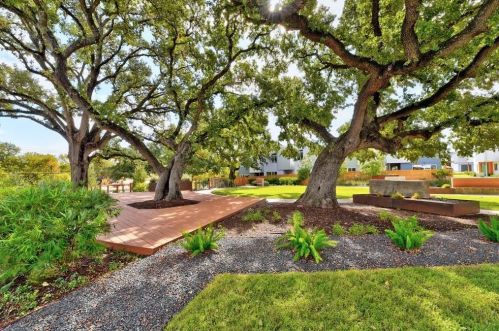 705 Bluff Dr, Austin TX 78745 exterior