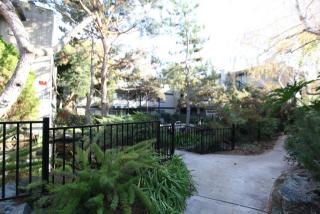 1150 Pedro St, San Jose CA  95126-3741 exterior