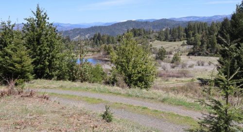 28901 Skyview Rd, Willits CA  95490-8420 exterior