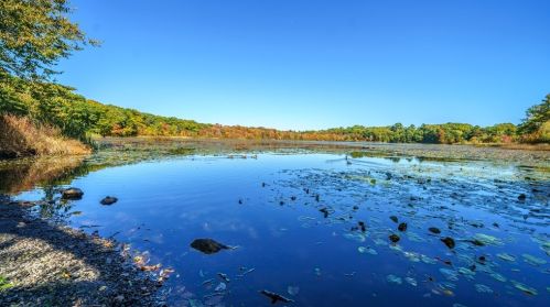 1117 Boylston St, Boston MA  exterior